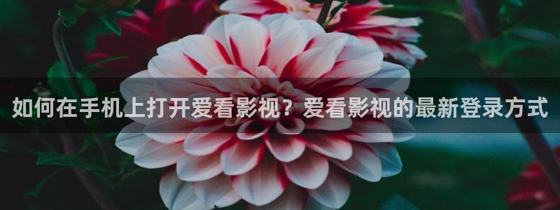 樱花视频在线观看电视剧高清