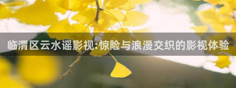 熊出没樱花影院