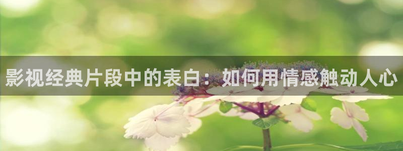 樱花视频相关